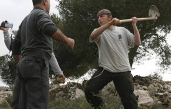 صورة أرشيفية