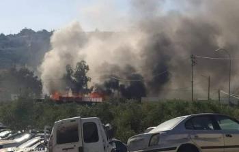 جانب من آثار الشجار في نابلس