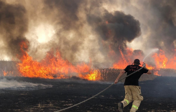 حرائق سابقة التهمت أجزاء كبيرة من أحراش الكرمل بحيفا (أرشيف)