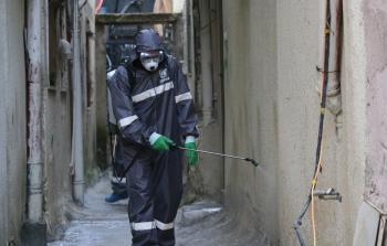 توضيحية (أرشيف)