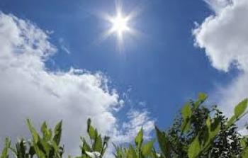 توضيحية (أرشيف)