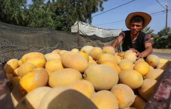 توضيحية (أرشيف)