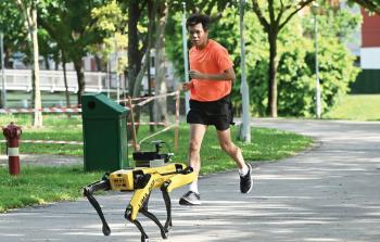 الكلب الآلي يسير إلى جانب المشاة في إحدى الطرقات