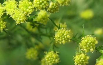 توضيحية (أرشيف)