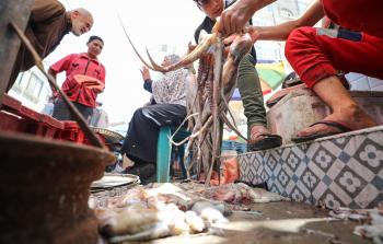 أخطبوط البحر في أيدي بائعي الأسماك بسوق معسكر الشاطئ غرب غزة (تصوير محمود الهندي)