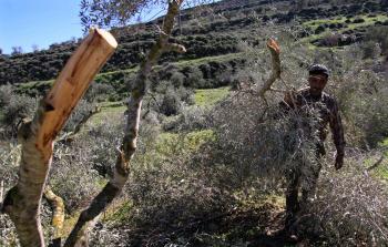 توضيحية (أرشيف)