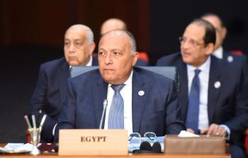 وزير الخارجية المصري سامح شكري (أرشيف)