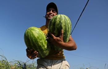 توضيحية (أرشيف)