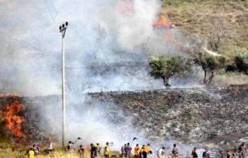 صورة أرشيفية