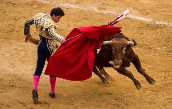 مصارعة الثيران في إسبانيا