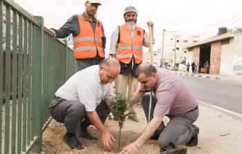 جانب من حملة التشجير على شارع صلاح الدين