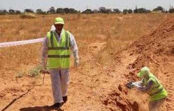 صورة أرشيفية