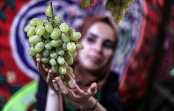 190820_MH_00 (6).jpg