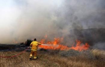 صورة أرشيفية