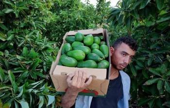 117591430_2731887240244941_1540298150088982270_n (1).jpg