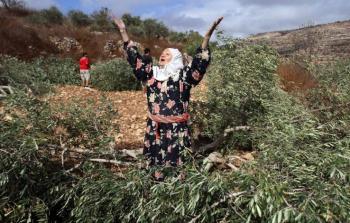 صورة أرشيفية