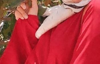 الفتاة المتوفاة سجود أحمد بويطل