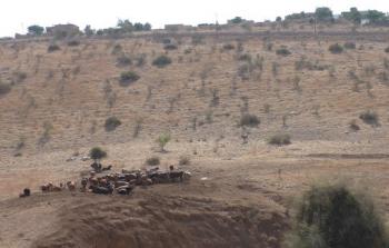 صورة أرشيفية