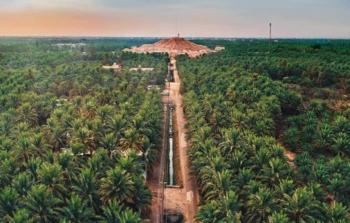 صورة أرشيفية للأحساء السعودية