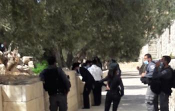 جانب من الاقنتحامات