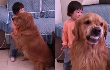 صورة تعبيرية