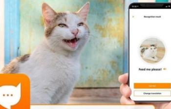 صورة تعبيرية