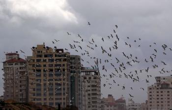 صورة أرشيفية