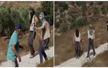 صورة أرشيفية