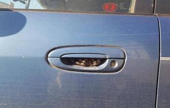 مقبض السيارة كما بدا من بعيد