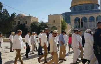 مستوطنون يقتحمون الأقصى (أرشيف)