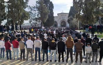 15 ألف مُصلٍّ أدوا الجمعة في رحاب المسجد