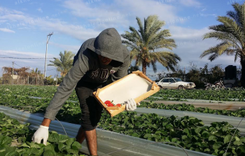 صورة أرشيفية