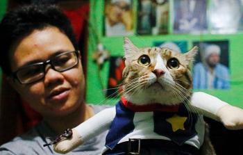 إندونيسي يمتهن صناعة ملابس القطط