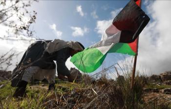 نشطاء يزرعون 700 شجرة ردًّا على تدمير الاحتلال محمية طبيعية