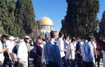 مستوطنون يقتحمون باحات الأقصى (أرشيف)