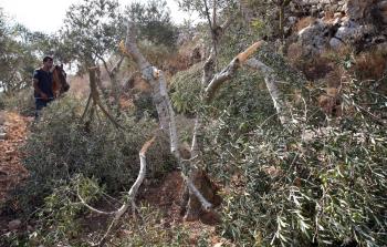 صورة أرشيفية