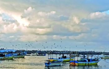 ميناء غزة (أرشيف)