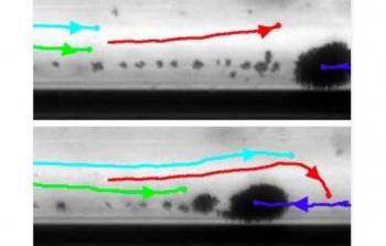 صورة تعبيرية