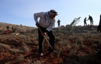 صورة أرشيفية