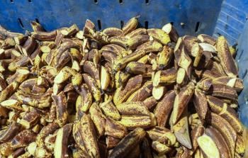 إتلاف 5.7 أطنان أغذية منتهية الصلاحية في خان يونس