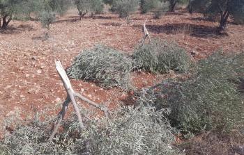 صورة إرشيفية