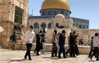 مستوطنون يقتحمون باحات الأقصى (أرشيف)