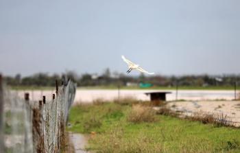 تصوير/ ياسر فتحي