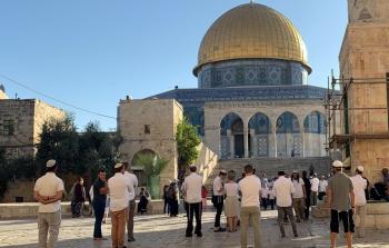 صورة أرشيفية