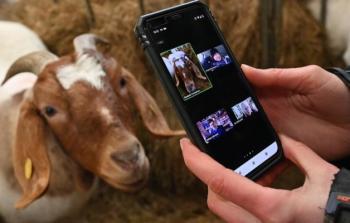 صورة أرشيفية