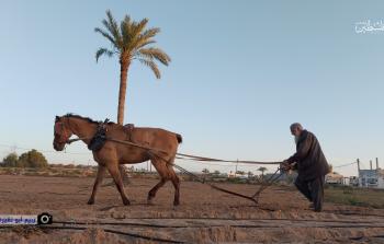 الحمايدة يحرث أرضا بمواصي خان يونس