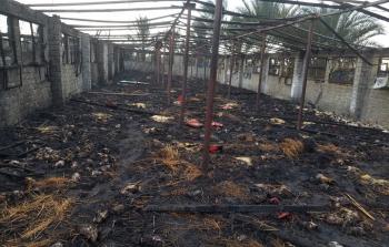 صورة ارشيفية