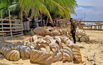 الأصداف المصادرة تبلغ قيمتها 25 مليون دولار