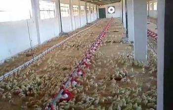 صورة ارشيفية