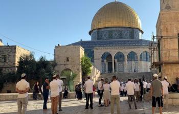 يتقدمهم المتطرف 